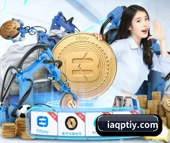 国际化进程